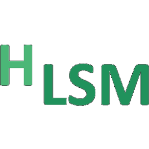 H-LSM